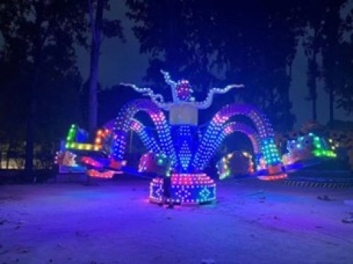 Giant Octopus